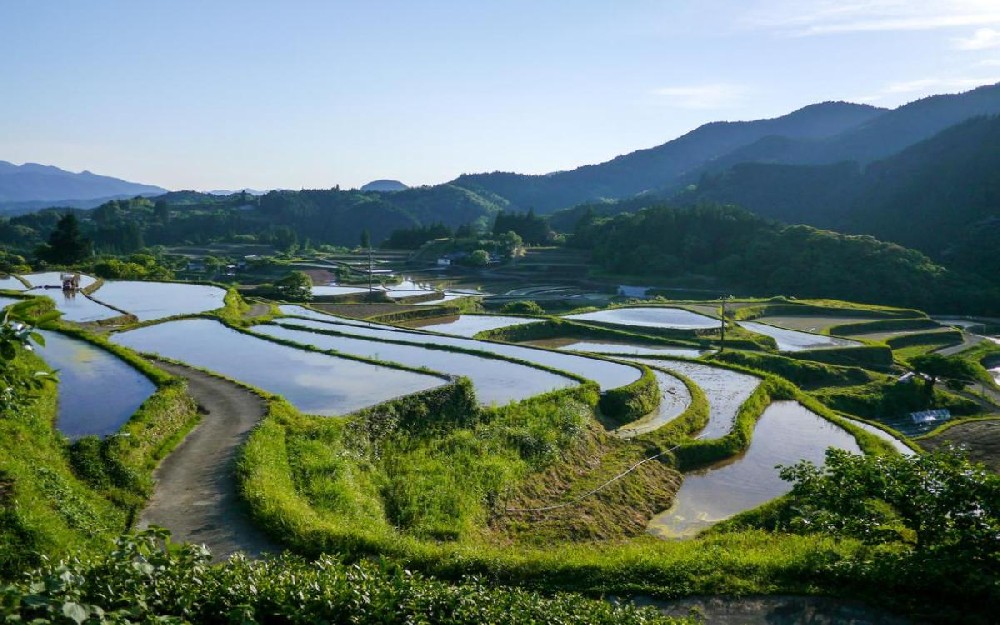 种产销一体化天然农业基地建设项目